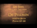 Die psalmen  fnftes buch psalm 107150