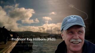 Seafood NZ Our Story