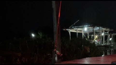 Mùa nước lũ trên dòng sông Hậu Mekong câu đêm cá vồ đém tra bằng mồi sâu sứ