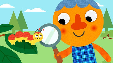 Crawl Like A Caterpillar 🐛 | Noodle & Pals | Songs For Children