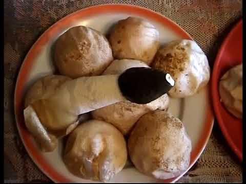 Грибы Веселки. Как приготовить настойку из гриба Веселка - YouTube