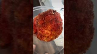 Steak Boudin Balls