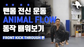 맨몸 전신 운동 애니멀플로우 동작 배우기(Feat. Front Kick Through)