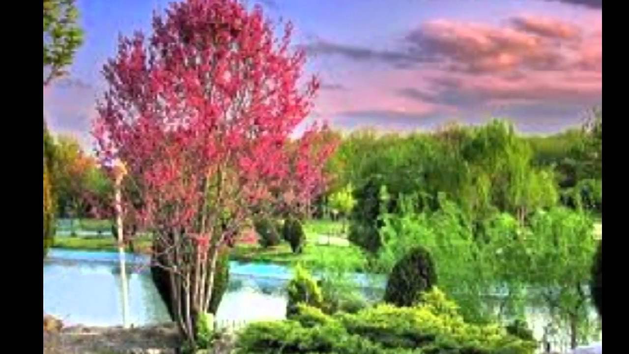 Johnny Hates Jazz - Different Seasons - Digitally ...