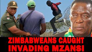Illegal Zimbabweans INVADING SA in BUSLOAD Caught in Free State| They Lie about Being South African