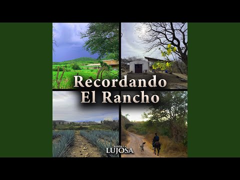 Banda La Lujosa - Sentimental