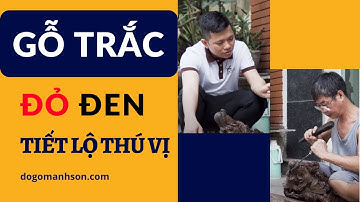 Nghệ Nhân Ưu Tú Tiết Lộ Bí Mật về Gỗ Trắc Đỏ Đen | Đồ Gỗ Mạnh Sơn