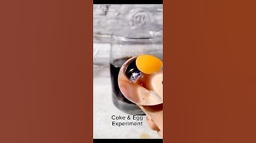 Coke & Egg Experiment 🧪 #ytshorts #shorts #short #experiment