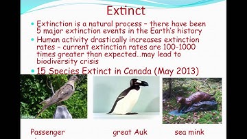 biodiversityandspeciesatrisk