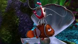 Oui (Finding Nemo - 2003)