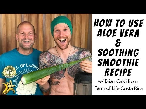 How to Use Aloe Vera & Soothing Smoothie Recipe w/ Brian Calvi from Farm of Life Costa Rica