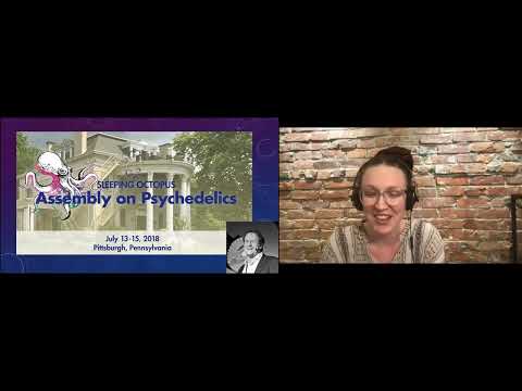 YPSG Presents Hannah McLane: Equity and Inclusion in