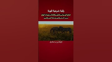 رقية شرعية قوية لعلاج الوسوسه والاكتئاب ونوبات الهلع