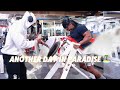 Xtreme Fitness NewYork. Intense Back Day Workout Part 1. Another Day in Paradise 🏝️.