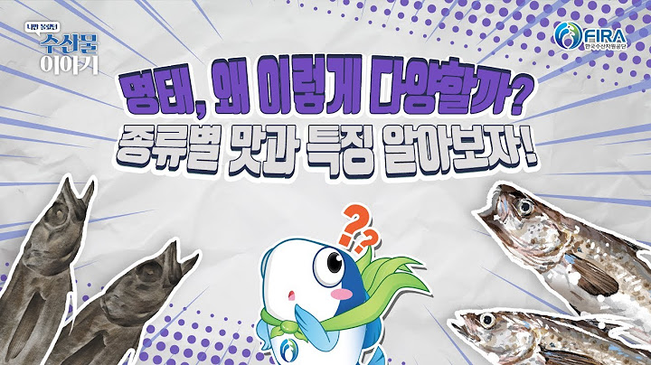 생태, 동태, 황태, 너의 진짜 이름은? 명태의 숨겨진 이름 대공개!🐟