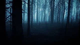 REALISTIC DARK FOREST UNREAL ENGINE 5