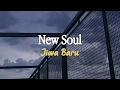 New Soul - Yael Naim | Lirik dan Terjemahan Indonesia