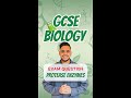 GCSE Biology: Exam Question | Protease Enzymes