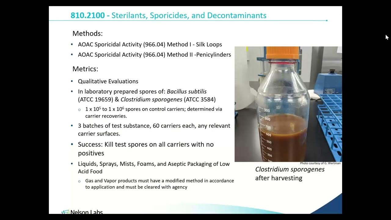 Disinfectant Efficacy Testing Study Design & Data Interpretation for
