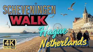 Scheveningen Walking Tour a Winter Sun Hits The Dutch Coast 🇳🇱  Beach & Pier Walk | 4K UHD