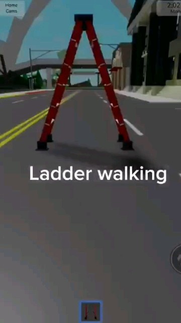 Walking Ladder in Brook Haven #brookhaven - YouTube