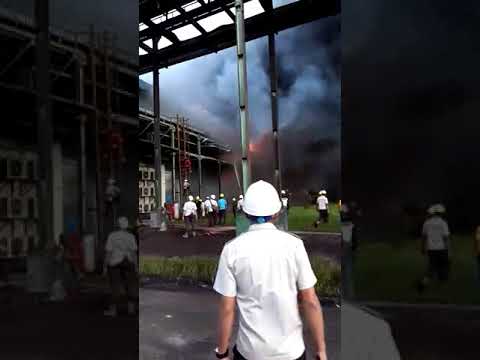 Kebakaran Gudang Ampas Sawit PT SDS di Dumai - YouTube