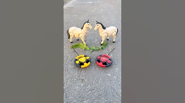 Remote Control 2 Ta Horse Deko😅