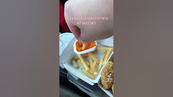 I Fed A Seagull A French Fry With Hot Sauce On It