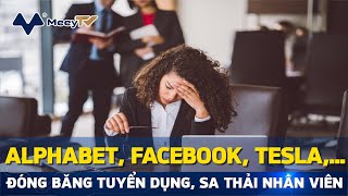 ALPHABET, FACEBOOK, TESLA,... ĐÓNG BĂNG TUYỂN DỤNG, SA THẢI NHÂN VIÊN