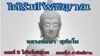 หลวงพ่อชา สุภัทโท ตอนที่3 ใต้ร่มโพธิ์ญาณ ตอนที่4 ภาษิตอีสาน#หลวงพ่อชา #เรื่องเล่า #พระธุดงค์