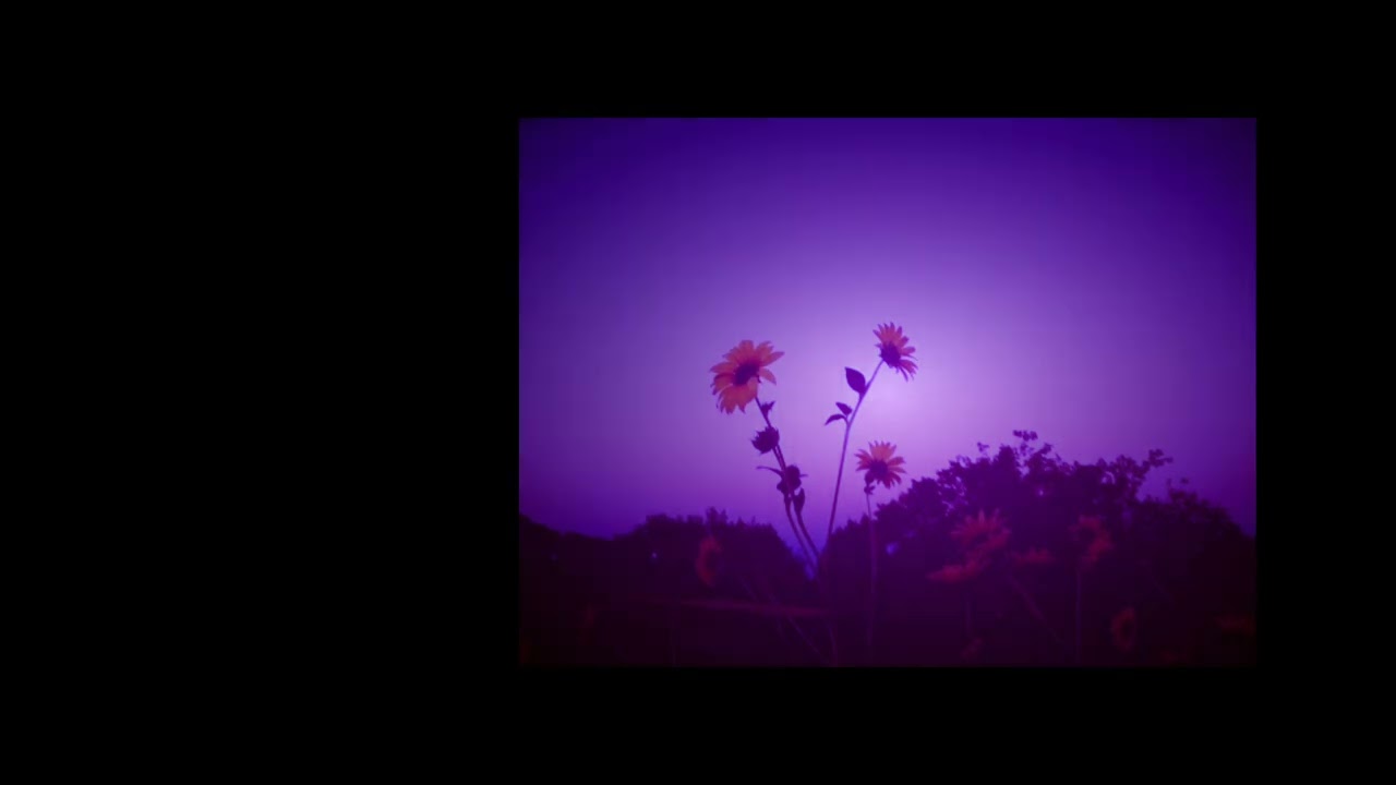 [FREE for profit] Lil Skies type beat "Fast"