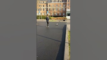 Self-balancing robot offroad test