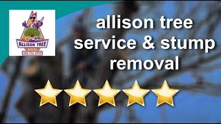 allison tree service & stump removal Reviews - 5 Stars for Tree Removal in Laceys Spring, AL