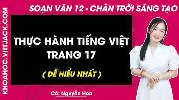 Soạn bài Thực hành tiếng Việt trang 17 | Ngữ văn 12 - Chân trời sáng tạo (DỄ HIỂU NHẤT)