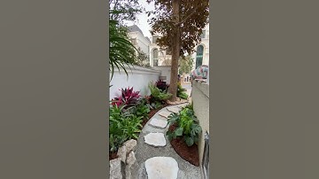 Mẫu Tiểu cảnh sân vườn nhiệt đới trước nhà Zions 0941636969 #zions #sanvuondep