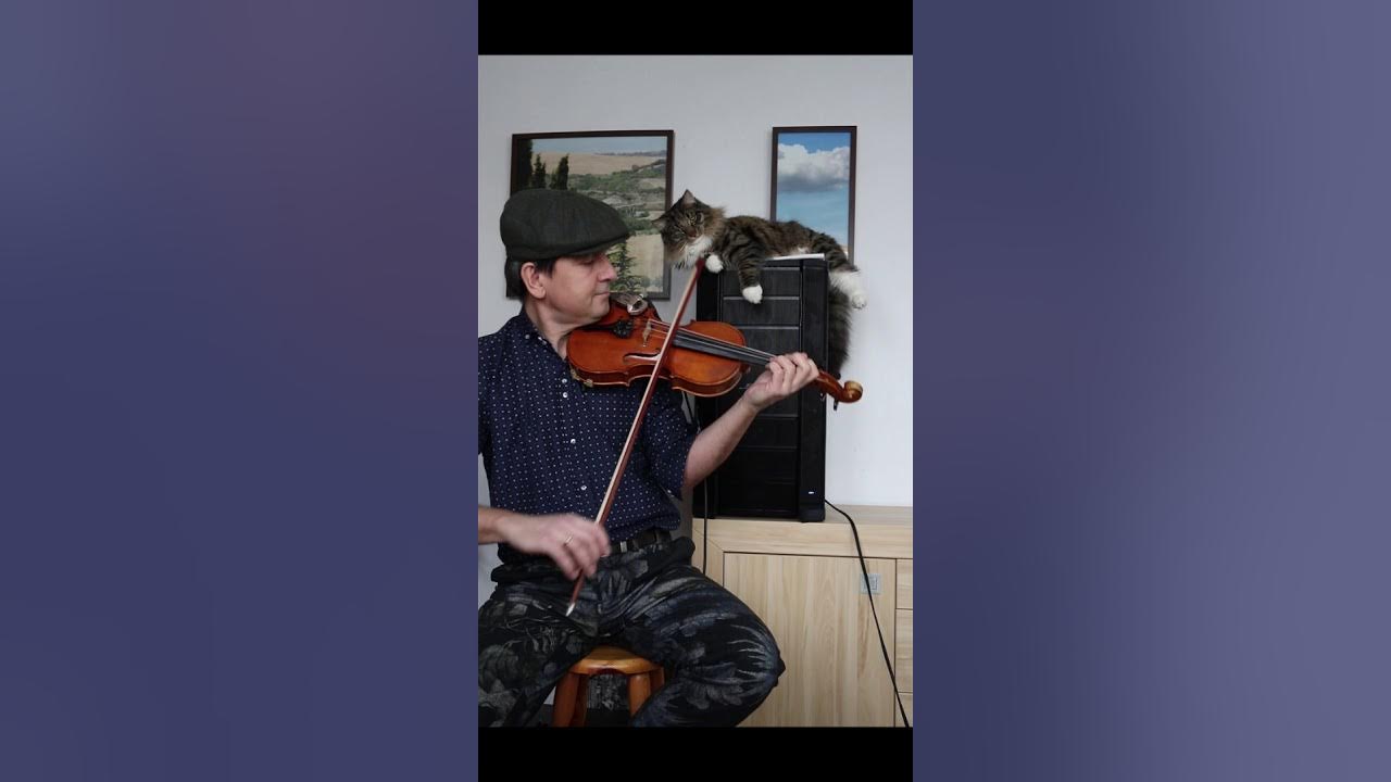 The Butterfly slip jig YouTube