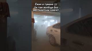✅  Опасная это работа - Ёжик в тумане )))