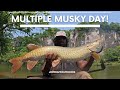 Chasing huge MUSKY and Smallmouth in the New River (Virginia pt.1)