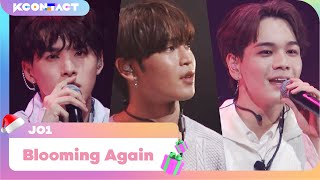 JO1 - Blooming Again | KCON World Premiere : The Triangle | KCON:TACT SPECIAL WEEKS 🎅