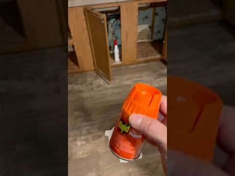 How To Use RAID FOGGER FOR ROACHES