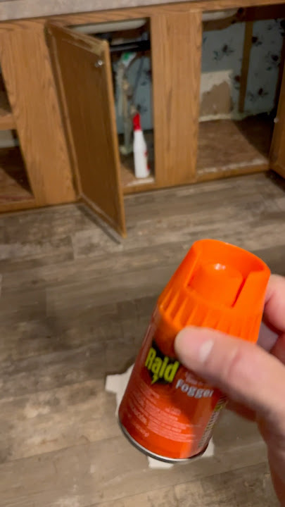 How to use RAID  FOGGER FOR ROACHES