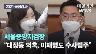 중앙지검장 "대장동 의혹, 이재명도 수사범주···녹취록 속 '그분'은 아냐"