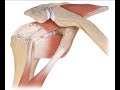 Revision Arthroscopic Rotator Cuff Repair: What do we do differently?