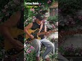 Cotton Fields Guitar Solo P2 #countrymusic