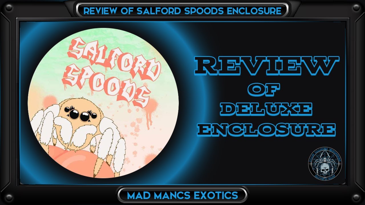 Salford Spoods - enclosure REVIEW, setup and housing a Tarantula