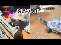 春は出会いと別れの季節【Spring is the season of encounters and farewells.】