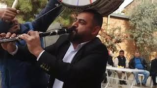 İlhan Ve Gubu Ine Çiftetellisi Iletişim 05300956278