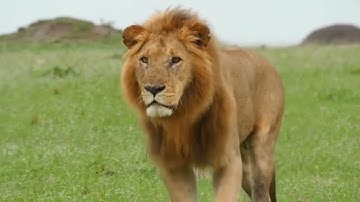 Pilot 2, unit 8, lesson 3, video 29