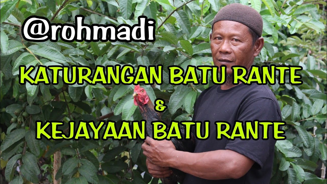 MASA KEJAYAAN BATU RANTE YANG PUNAH