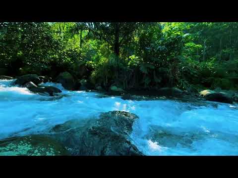 Peaceful River Nature Sounds 🌿 Birds Singing for Deep Sleep, Relaxation & Insomnia Relief